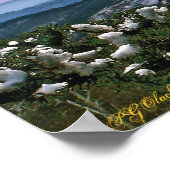 Door de ploegen van een pijnboom poster (Hoek)