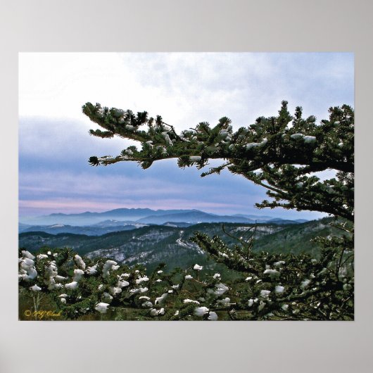 Door de ploegen van een pijnboom poster (Voorkant)