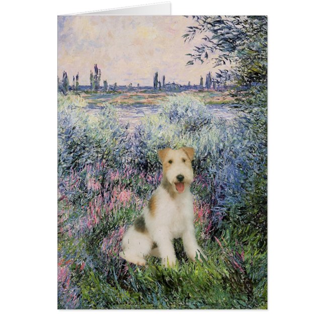Door de Seind - Wire Fox Terrier (M) (Voorkant)