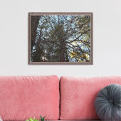 Door de takken omhoog canvas afdruk (Insitu (Woonkamer))
