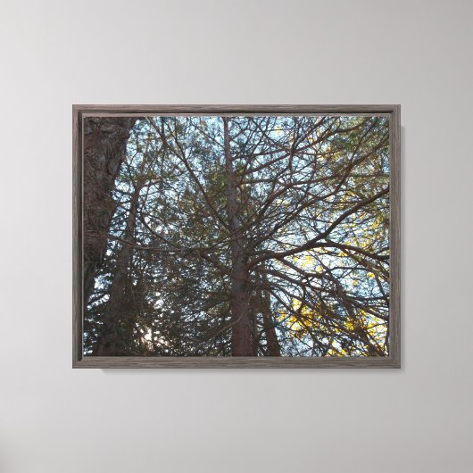 Door de takken omhoog canvas afdruk (Voorkant)