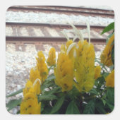 Door de Tracks Sticker (Voorkant)