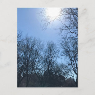 Door de Trees Riverside Park New York City Sun Briefkaart