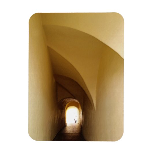 door de tunnel magneet (Verticaal)