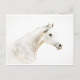 Door de vuist briefkaart