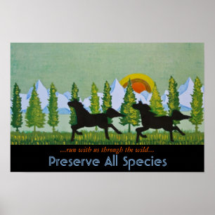 Door de Wilde Poster