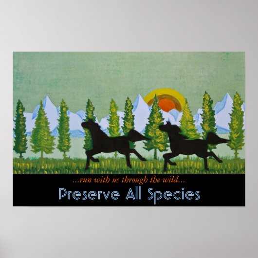 Door de Wilde Poster (Voorkant)