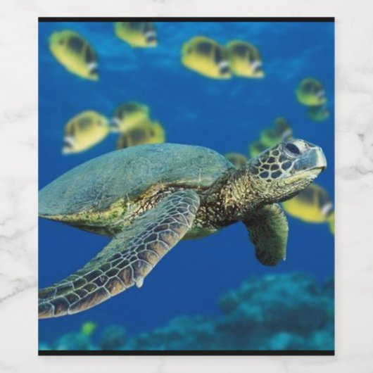 Door de Zeeen schildpad Wijn Etiket (Enkel label)