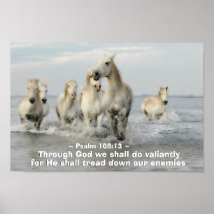 Door God zullen we een overweldigende psalm maken  Poster