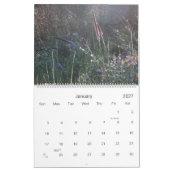door het arboretum lopen , de natuur kalender (Jan 2027)