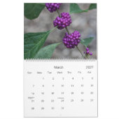 door het arboretum lopen , de natuur kalender (Mar 2027)