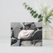 Door het Briefkaart van Seashore (Staand voorkant)