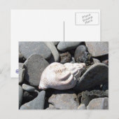 Door het Briefkaart van Seashore (Voorkant / Achterkant)