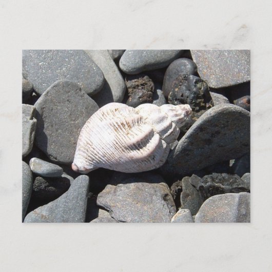 Door het Briefkaart van Seashore (Voorkant)