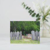 Door het hek briefkaart (Staand voorkant)