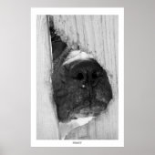 Door het hek poster (Voorkant)