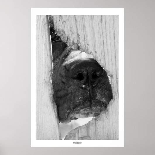 Door het hek poster (Voorkant)