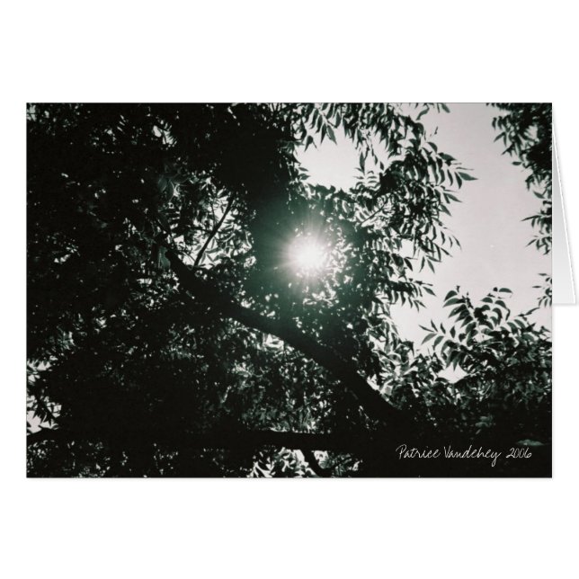 Door het kijkglas (Voorkant Horizontaal)