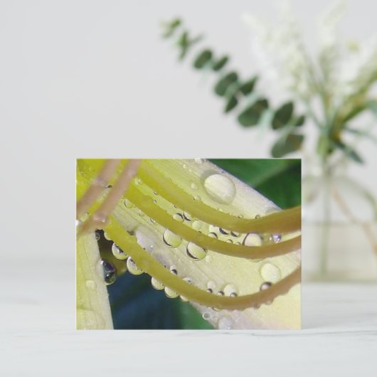 Door het kijkglas briefkaart (Staand voorkant)