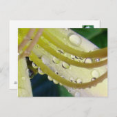 Door het kijkglas briefkaart (Voorkant / Achterkant)