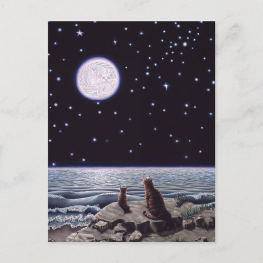 Door het licht van de Kat Fish Moon Briefkaart (Voorkant)