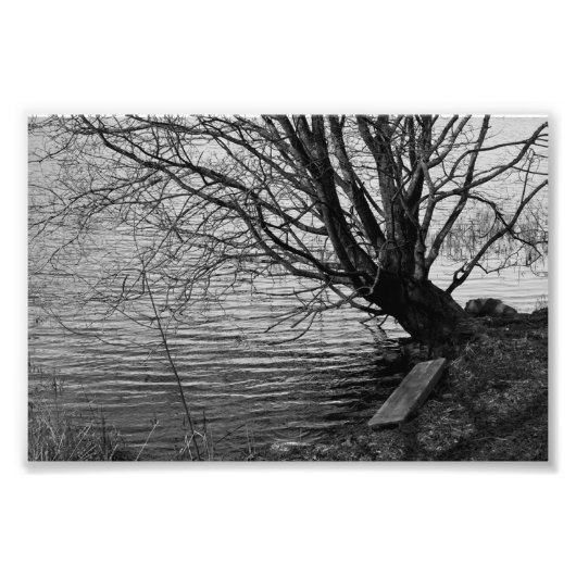 Door het meer foto afdruk (Voorkant)