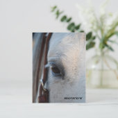 Door het oog van een paardenpostkaart briefkaart (Staand voorkant)