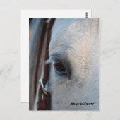 Door het oog van een paardenpostkaart briefkaart (Voorkant / Achterkant)