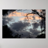 Door het Poster Trees (Voorkant)