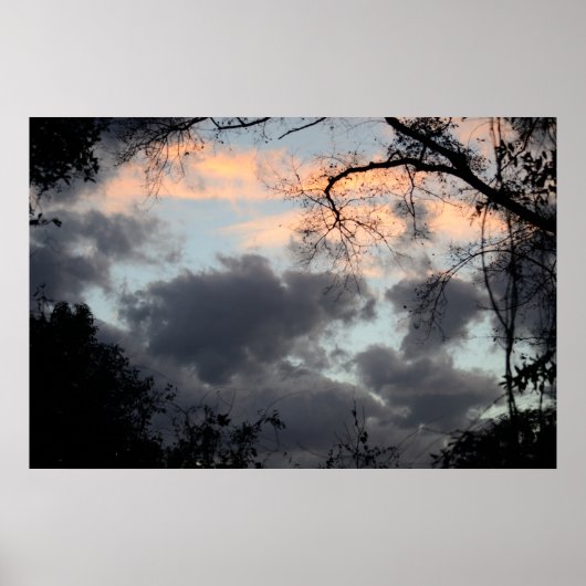 Door het Poster Trees (Voorkant)