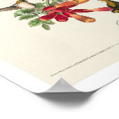 Door het Poster van Audubon aangedreven luchtvogel (Hoek)