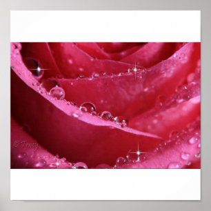 Door het raam van het licht poster