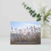 Door het riet. briefkaart (Staand voorkant)