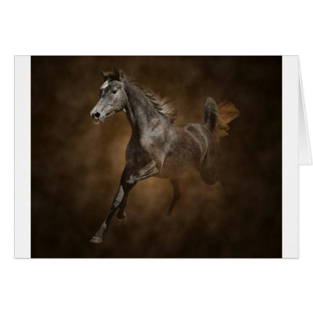 Door het stof (Voorkant Horizontaal)