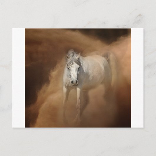 Door het stof storm briefkaart (Voorkant)