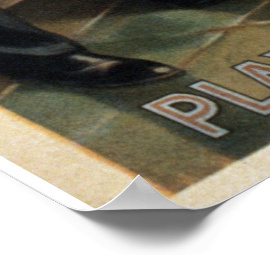 Door het  theater van de Golven van het Zad Zee Poster (Hoek)