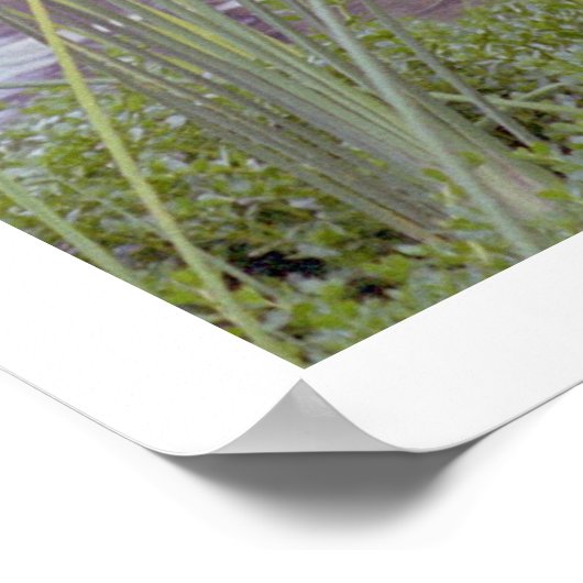 Door het water, Santa Barbara (poster) Poster (Hoek)