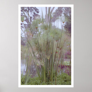 Door het water, Santa Barbara (poster) Poster