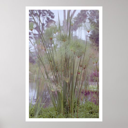 Door het water, Santa Barbara (poster) Poster (Voorkant)