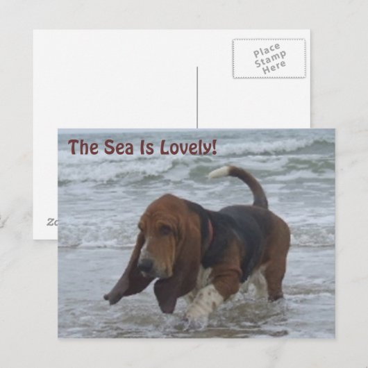 Door het Zee aangehouden briefkaart (Voorkant / Achterkant)