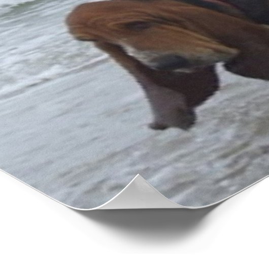 Door het Zee aangehouden poster (Hoek)