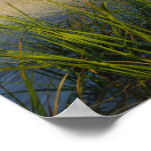 Door het Zee haver Poster (Hoek)