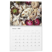 Door het Zee Kalender (Jan 2027)