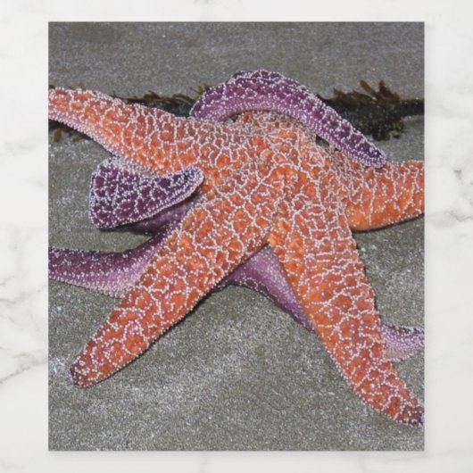 Door het Zee Star Wijn Etiket (Enkel label)