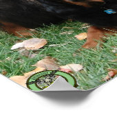 DOOR MOED NIET KUNSTGREEP Gordon Setter Poster (Hoek)