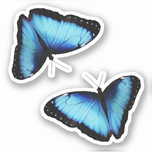 Door natuur geïnspireerd ontwerp sticker (Voorkant)