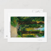 Door reuzenbos, sequoia's briefkaart (Voorkant / Achterkant)