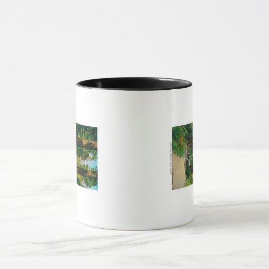 Door reuzenbos, sequoia's mok (Midden)