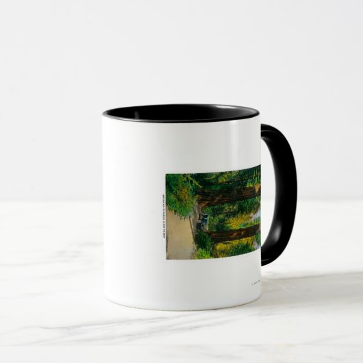 Door reuzenbos, sequoia's mok (Voorkant rechts)