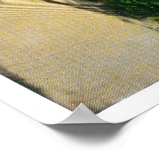 Door reuzenbos, sequoia's poster (Hoek)